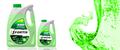 FORTIS -40 GREEN